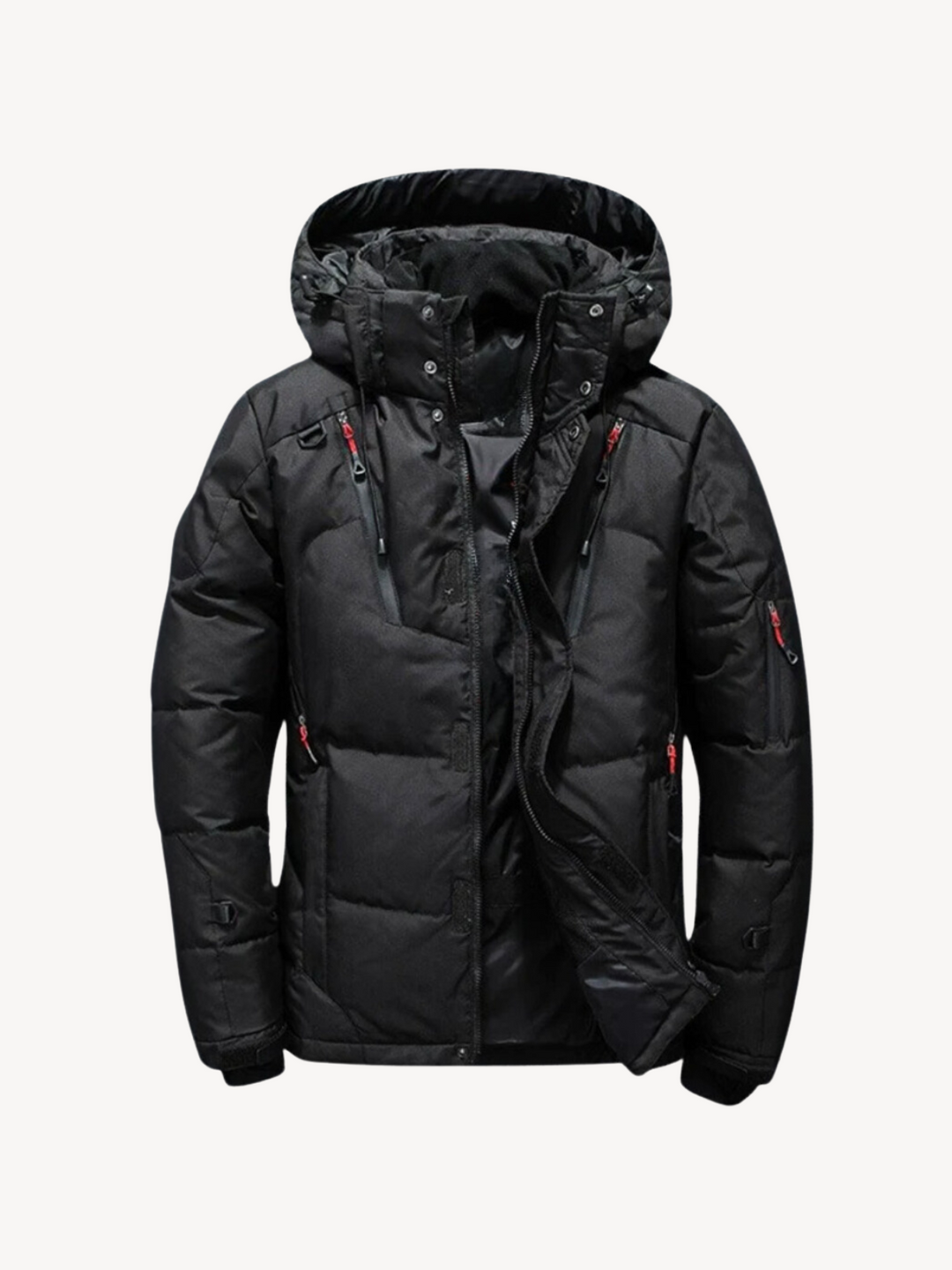 Arthur - Padded Puffer Jacket